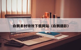 香河白鹅素材特效下载网站（白鹅摄影）